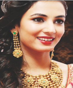 PUNEET ORNAMENTS HOUSE