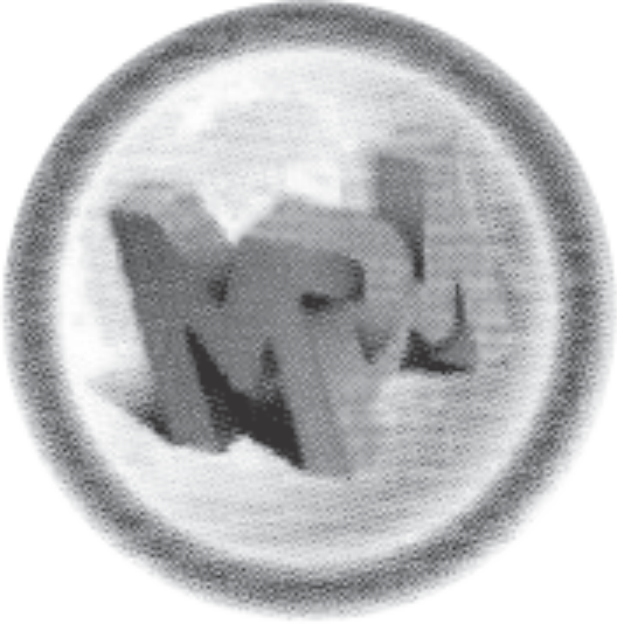 MOON PAPER MART