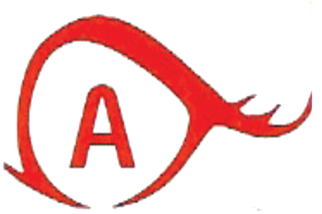 Amrut Optics