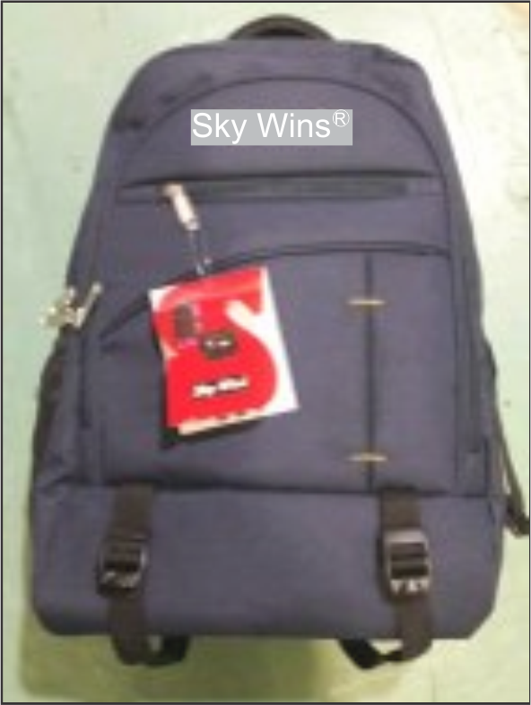 sky wins soft luggage