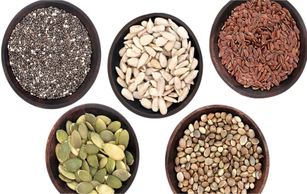 RAJDHANI SEEDS CORPORATION 