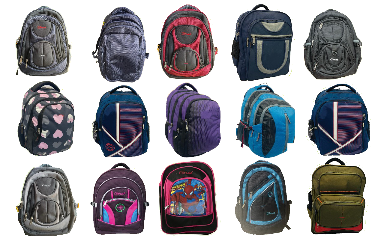 SARAVANA BAG