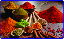 SK TRADING COMPANY