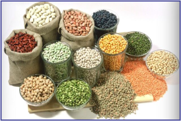 GIRIRAJ ENTERPRISES (C/o Dhruv Enterprises)