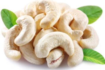 SHREE HAZARIKA CORPORATION