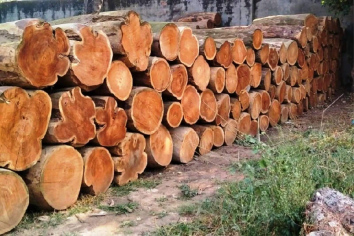 SHRI AMBAJI SAW MILL