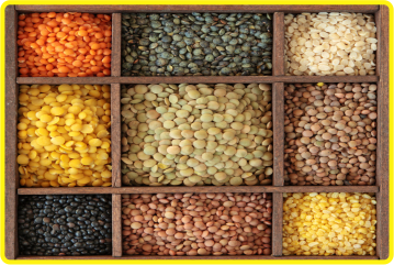 JAIN TRADERS