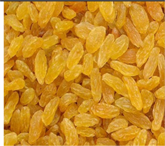 VOHRA TRADING COMPANY