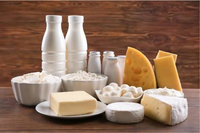 OM DAIRY